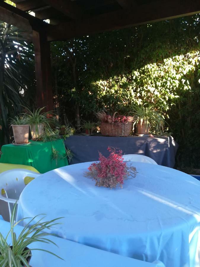 Sun & Palm Trees Apartment Balsares Екстериор снимка