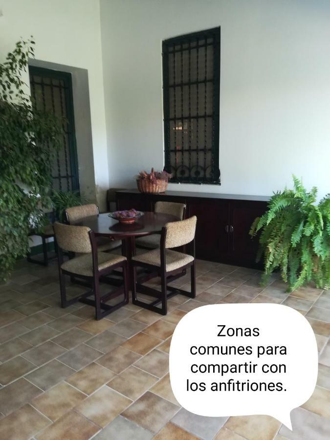 Sun & Palm Trees Apartment Balsares Екстериор снимка